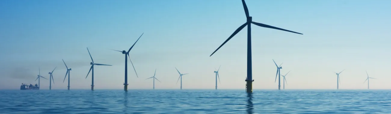 Tái bảo hiểm tạm thời